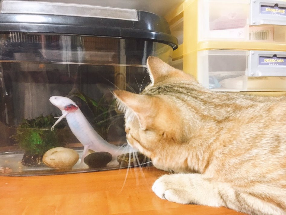 99FB1B475CE1FB610B0C66