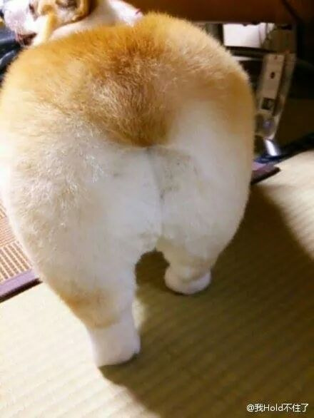 22140E395747EC2C2C5FD8