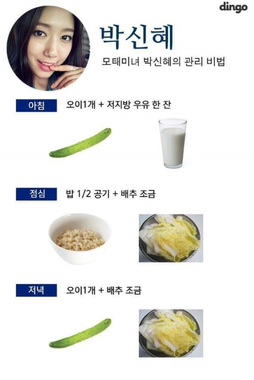 다이어트 대박난 여자 연예인 식단 | 인스티즈