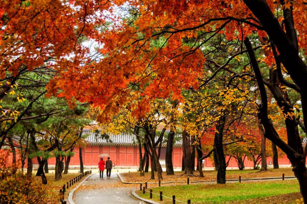 226CFE4A56A84AB00764B4