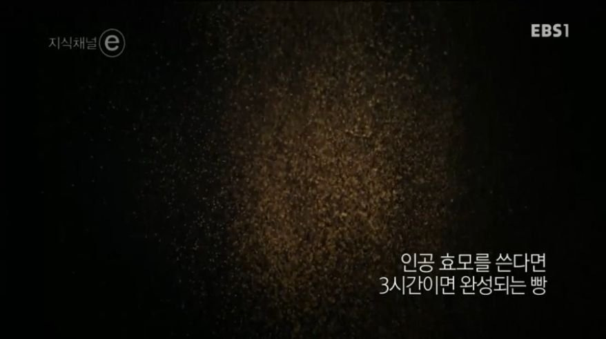 9943B4445B244A1F1E6404