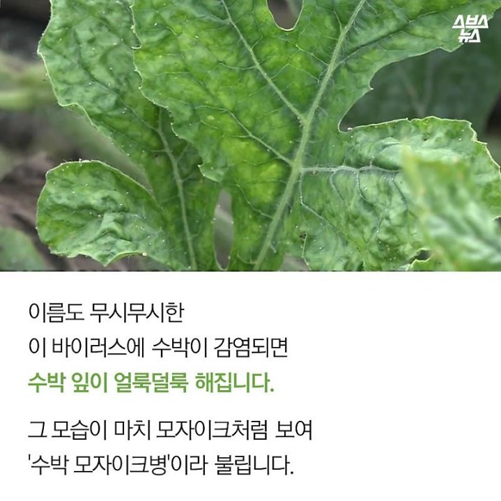 99EE5E485B2FA896273BD5