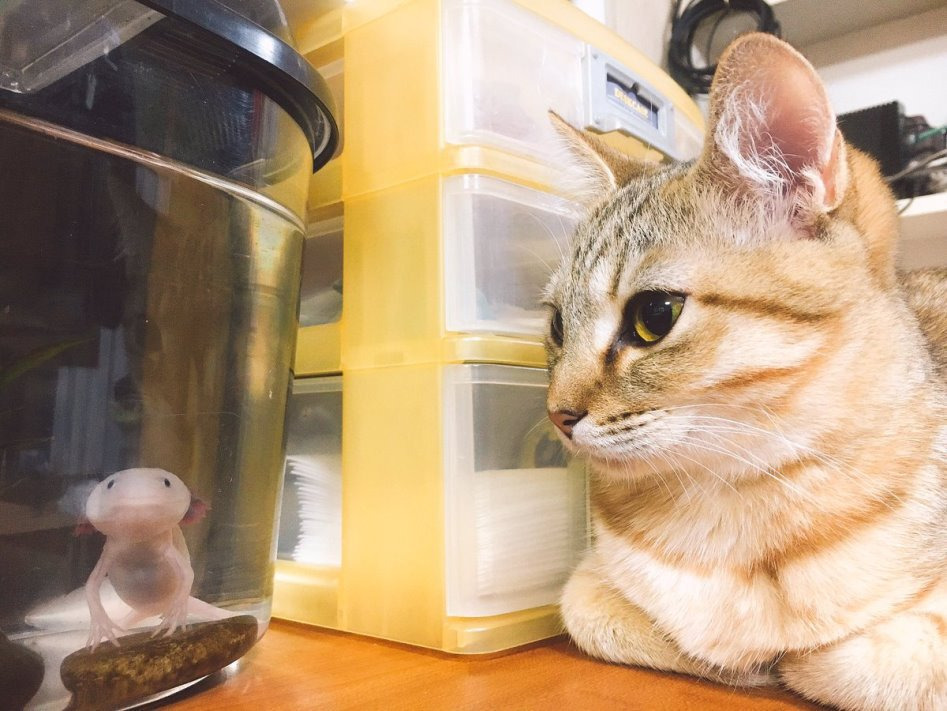 99B97A475CE1FB600D0FA2