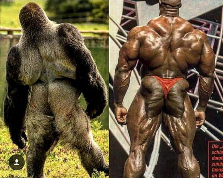 26174F4057DD2EF5167CE8