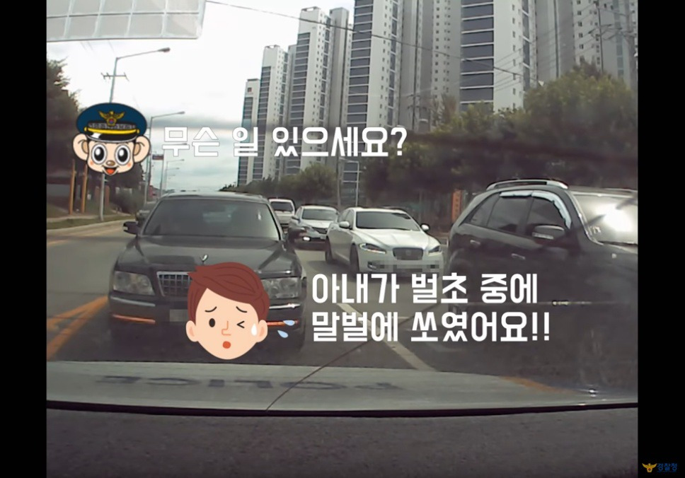 9950163E5BBBDE5E12F0EA