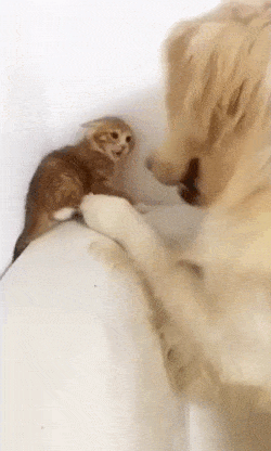 999B2F395B4D8F0934ABCF