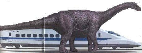 99E55F4B5AE5C0C003A070