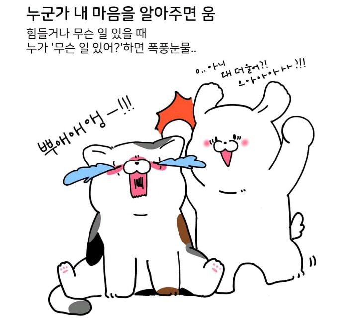 99E5AD3E5D649A8816B542