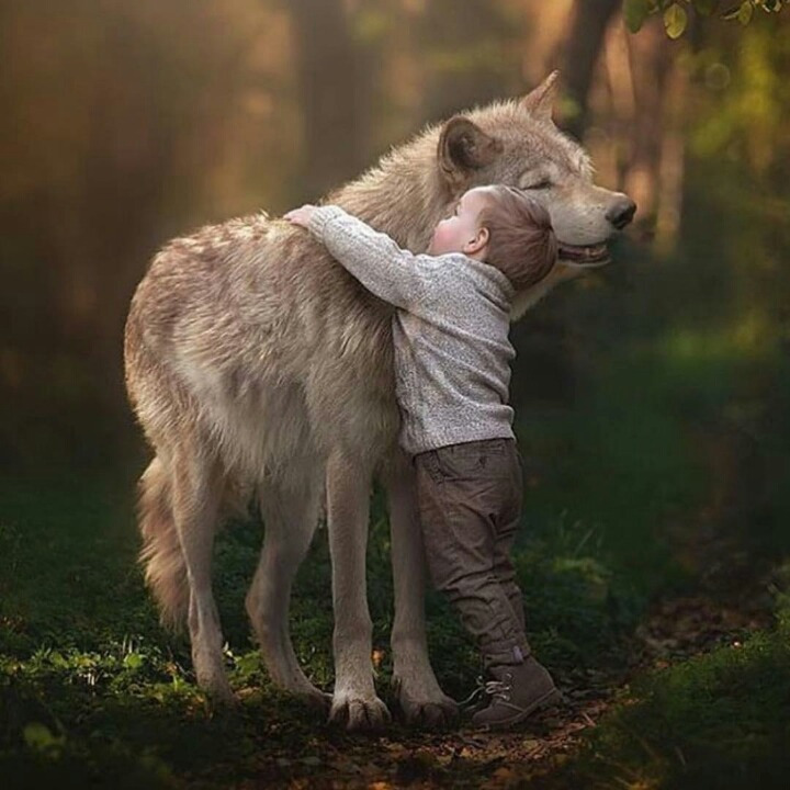 232C593C56A8F45D160E68