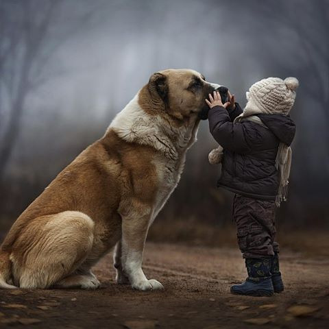 2407EF3456A8F466253D02