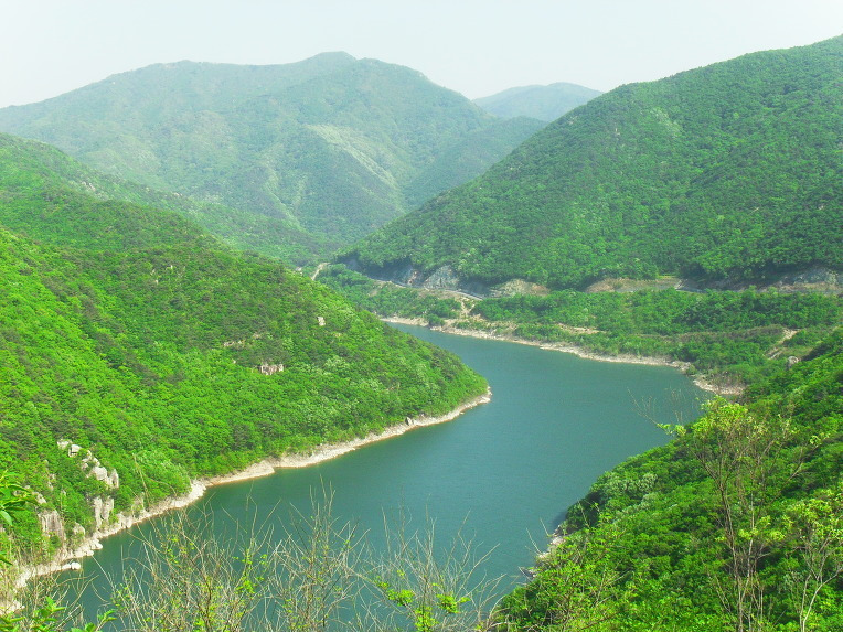 2516C74254C31C31034093