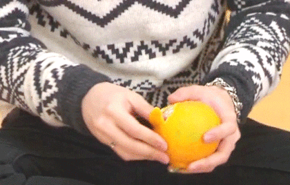 27729A3B56D960E130E42B