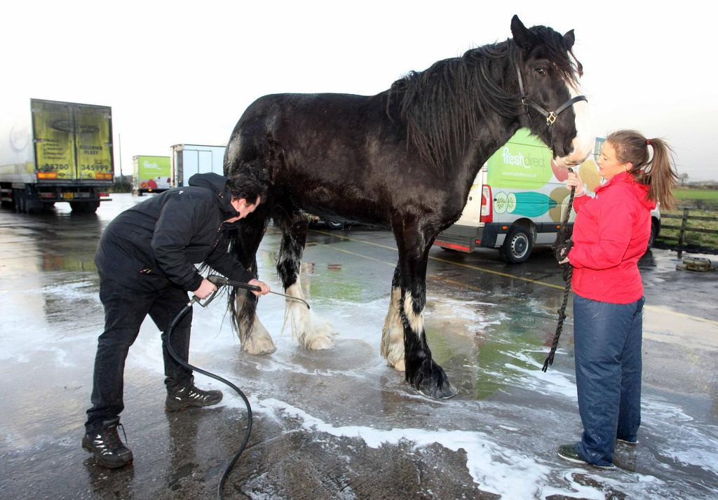 990AC7365BB76A501B5E19