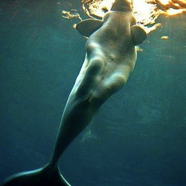 9993A14C5B1F0BAF44C982