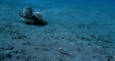 99BB4B3D5AF9EDB0043690