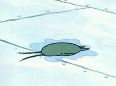 216B6F4C5778D815247649