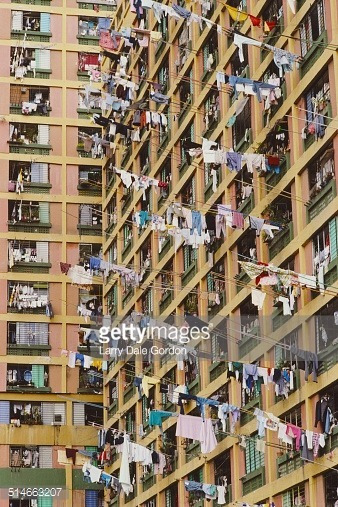 중국의 빨래널기 | 인스티즈