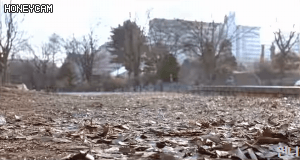 993451335B7EB8F6433F34