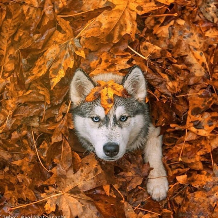 212DB03756A8F46102AC57