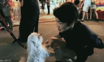 팬 아닌데 저장하게 되는 짤 .gif | 인스티즈