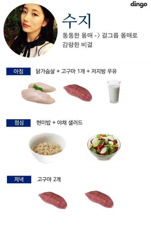 다이어트 대박난 여자 연예인 식단 | 인스티즈
