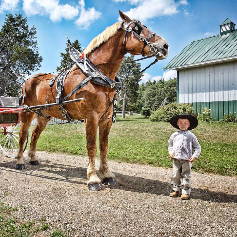 993190355BB76B0E3241CB