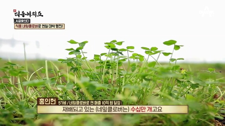 99F23D335A9EBC820D7407