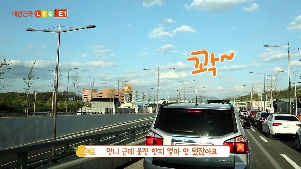 면허딴지 한달 된 백수