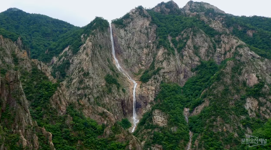 99FBF94A5B8B745529B0F2