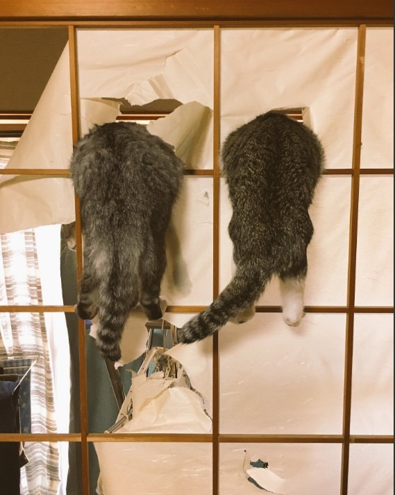 213189485959CD48090859