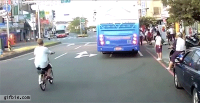 무단횡단하는 사람이 짐승만도 못한 이유 ㄷㄷㄷㄷ | 인스티즈