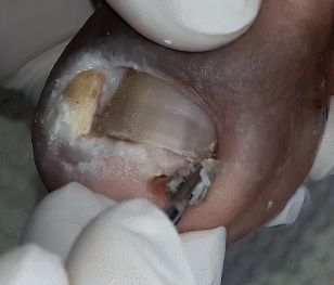 991AFC3C5CD9510504680F