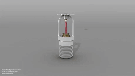 99A4E0465B1258CD097774