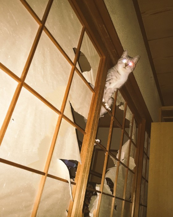 211615485959CD4830DEC0