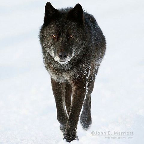 25588F3556A8F4632117CE