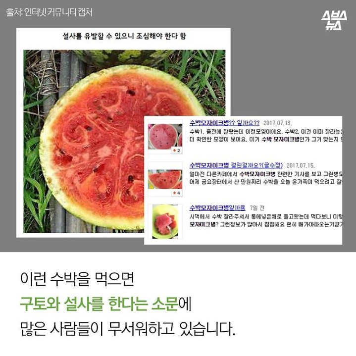 996FB14C5B2FA89606DEE5