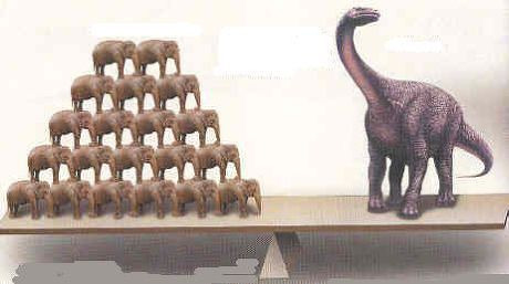 9956044B5AE5C0C02E7ABE