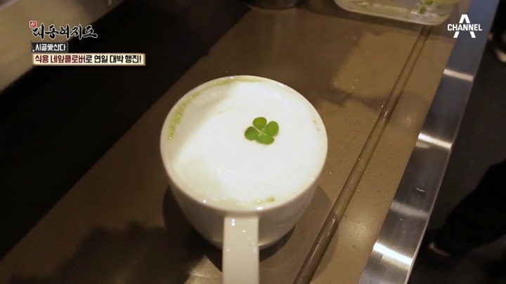 995EE53A5A9EBC7D2772E8