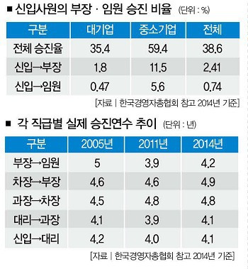 직장인 승진 확률