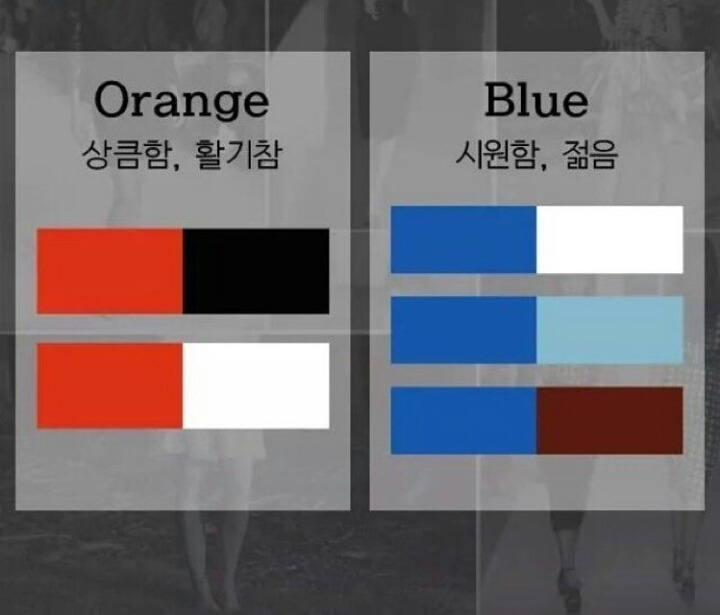 옷 코디시 알아야할 배색정보.JPG | 인스티즈