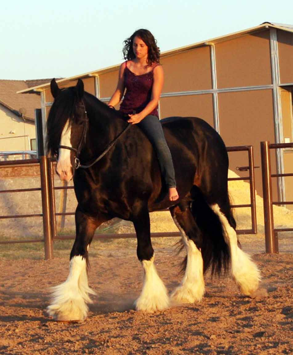 99E206465BB7685F18A3A6