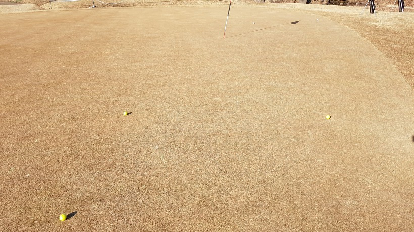 99E9ED3B5A9A509D24E855