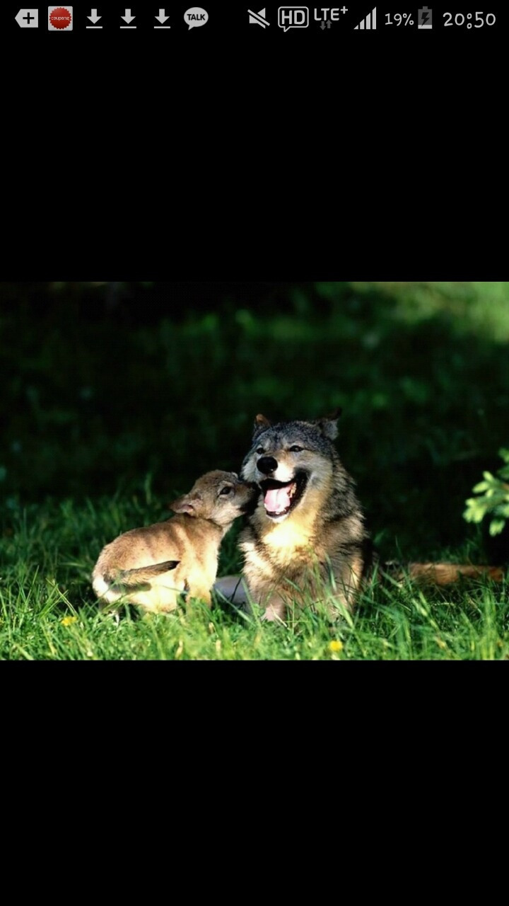 25608E3356A8F470088284