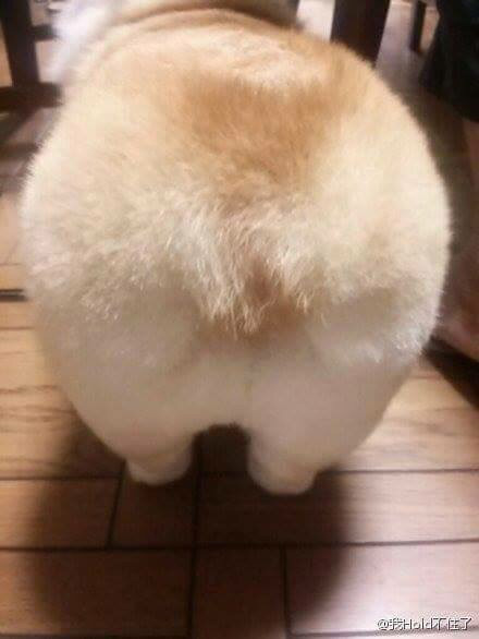 2625B0395747EC2A1DA7D4