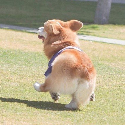 262D9E3A5747EC2818B275