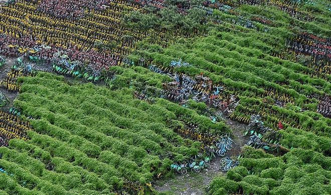 99CC52495AC75BF016324E