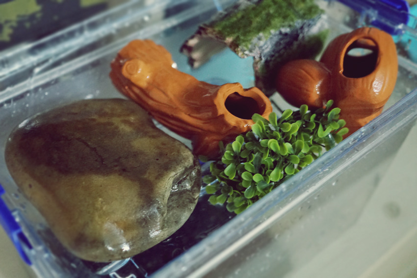 992880505AC5FD763329A9