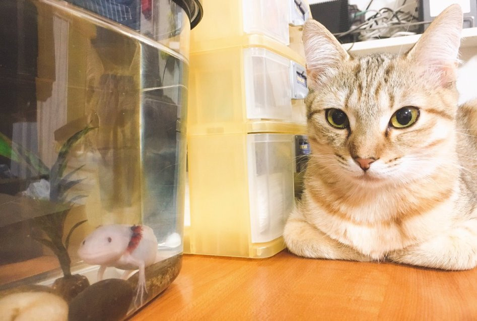 99AC61485CE1FA9C086CD5