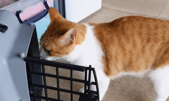 99D9EC355F5A315E19DB74