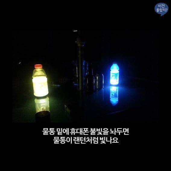 211C084956C7EAD4024F4F